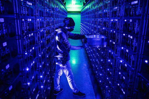 Well-organized mining farm